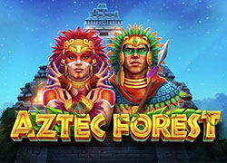 Aztec Forest